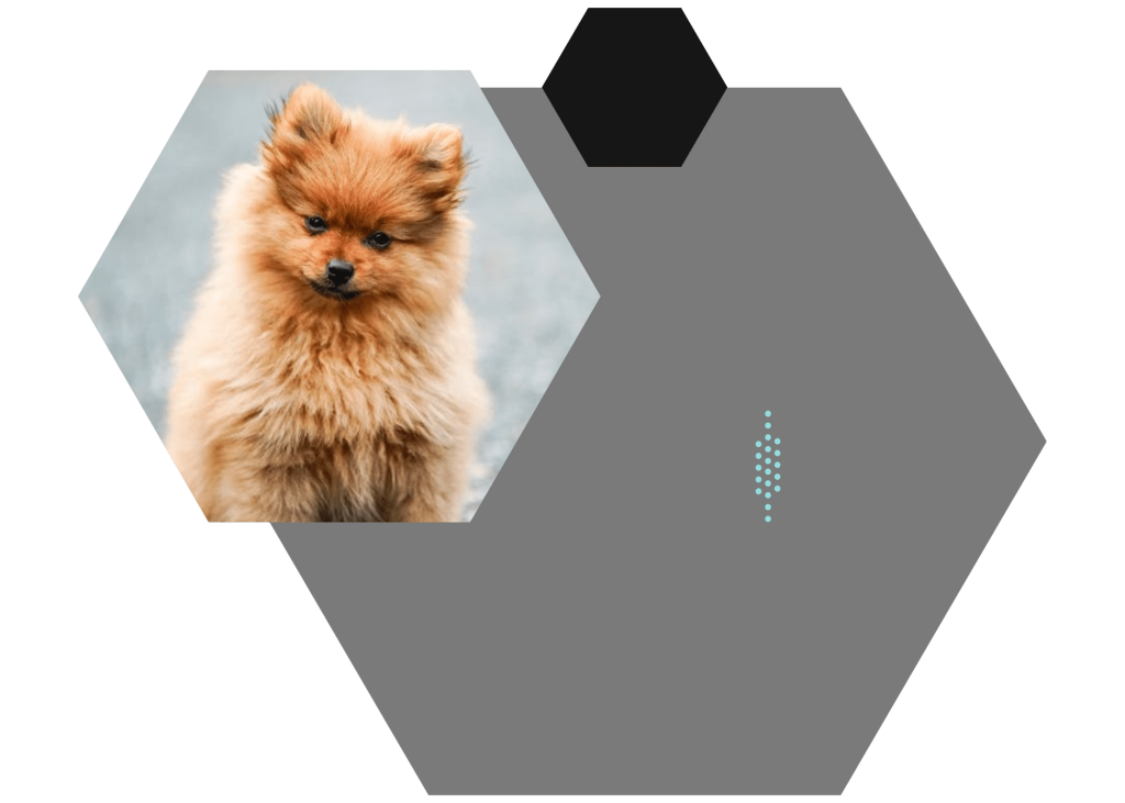 Banner blog
