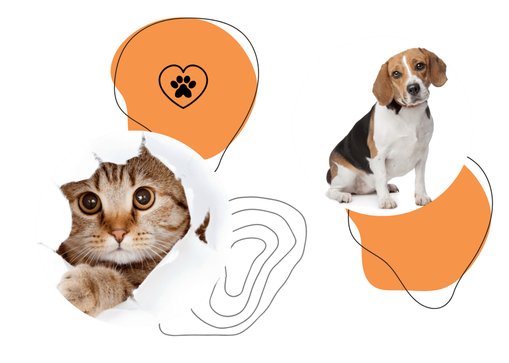 Banner adopciones