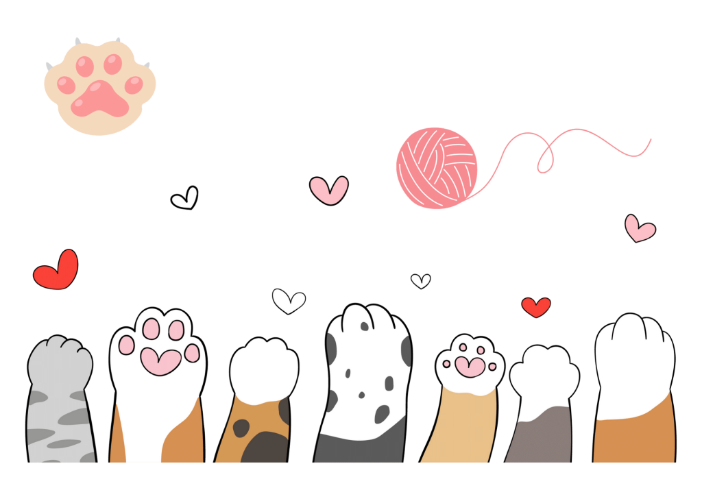 Banner gatos en adopción