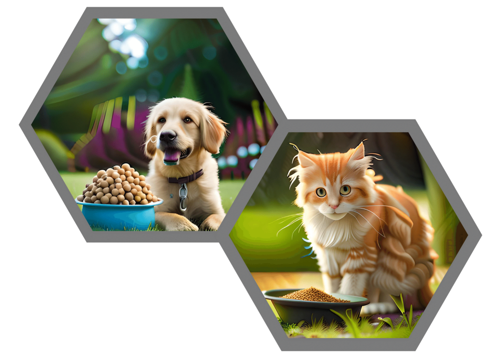 Perro y gato comiendo felices en el jardín